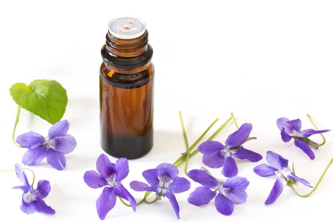 Bach flower remedies of violets on white background